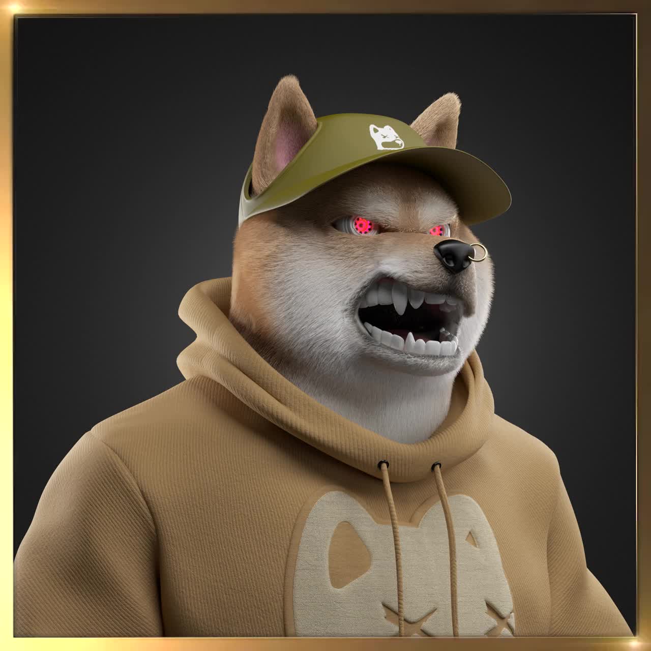 Shiba #2584