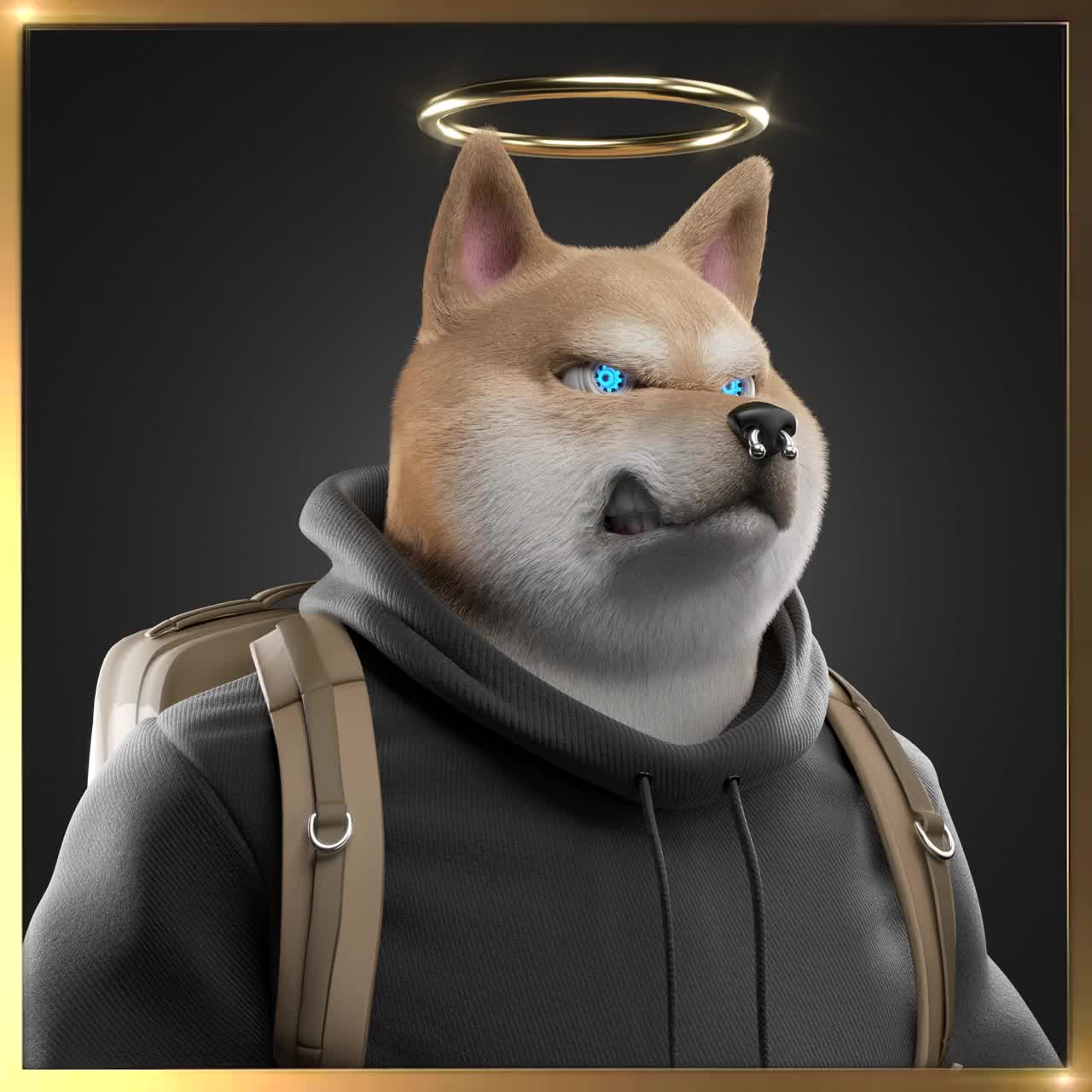 Shiba #2587