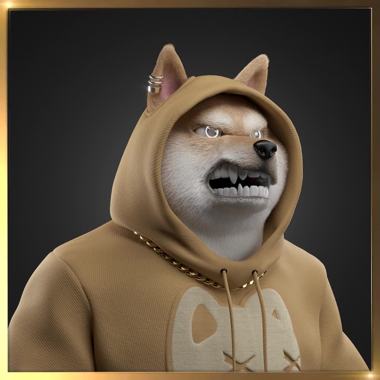 Shiba #2603