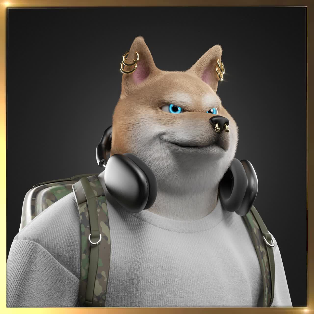 Shiba #2616