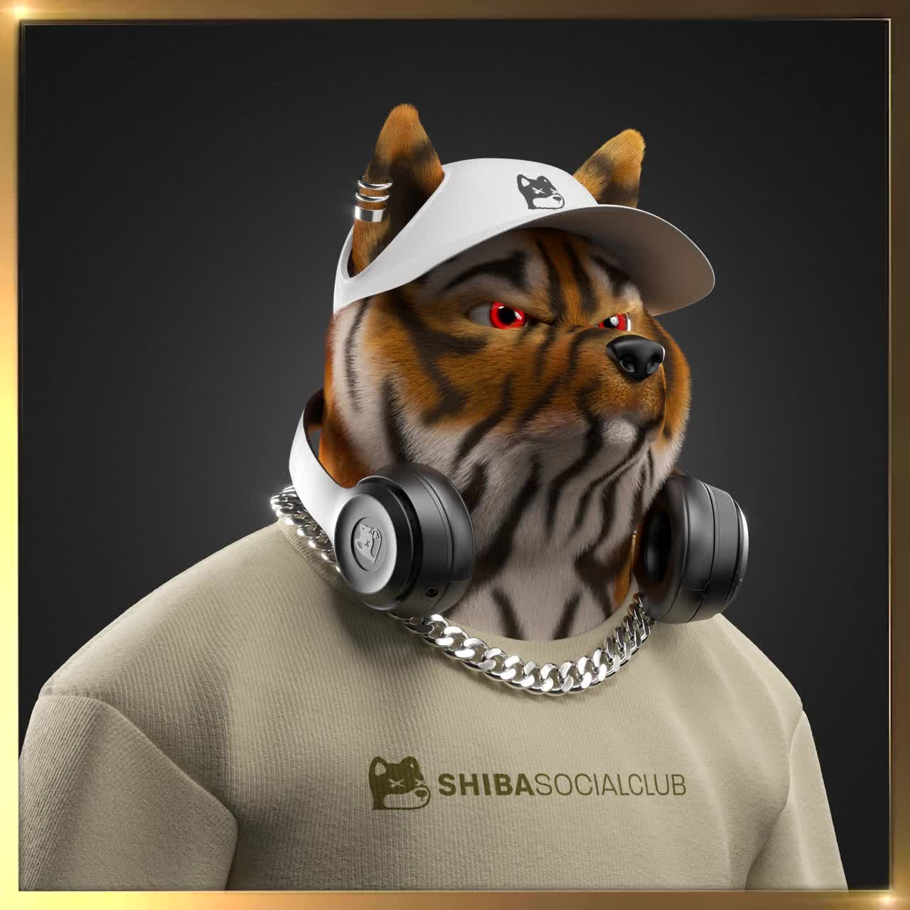 Shiba #2633