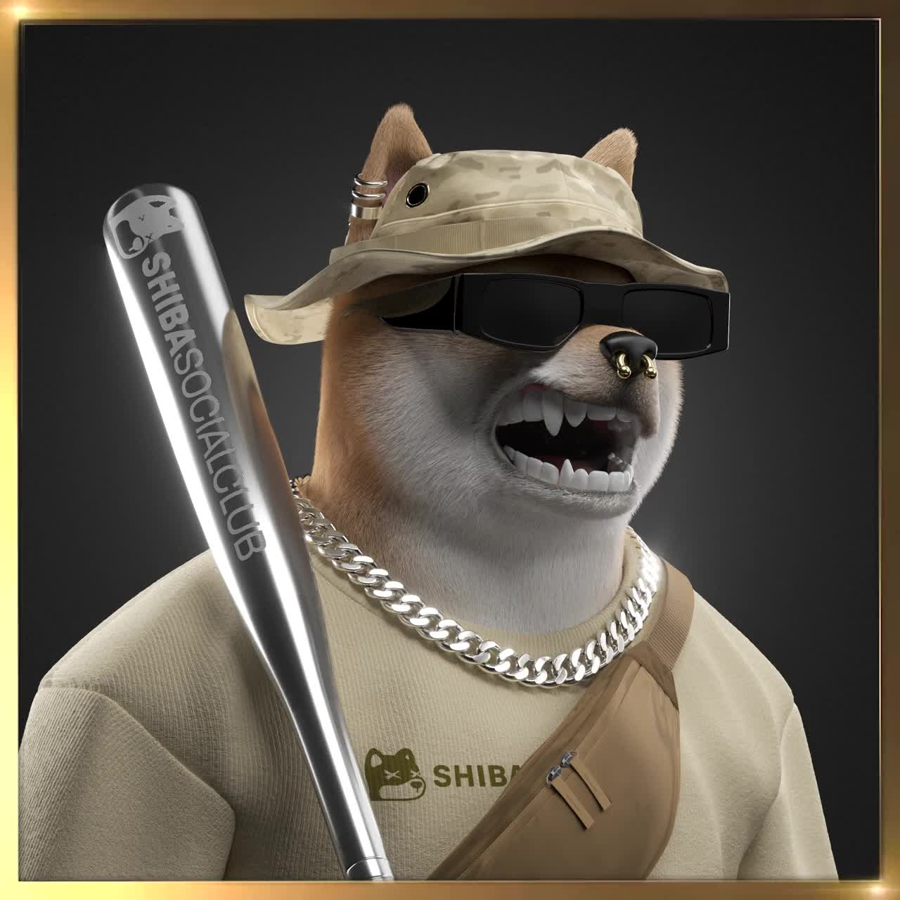 Shiba #2634
