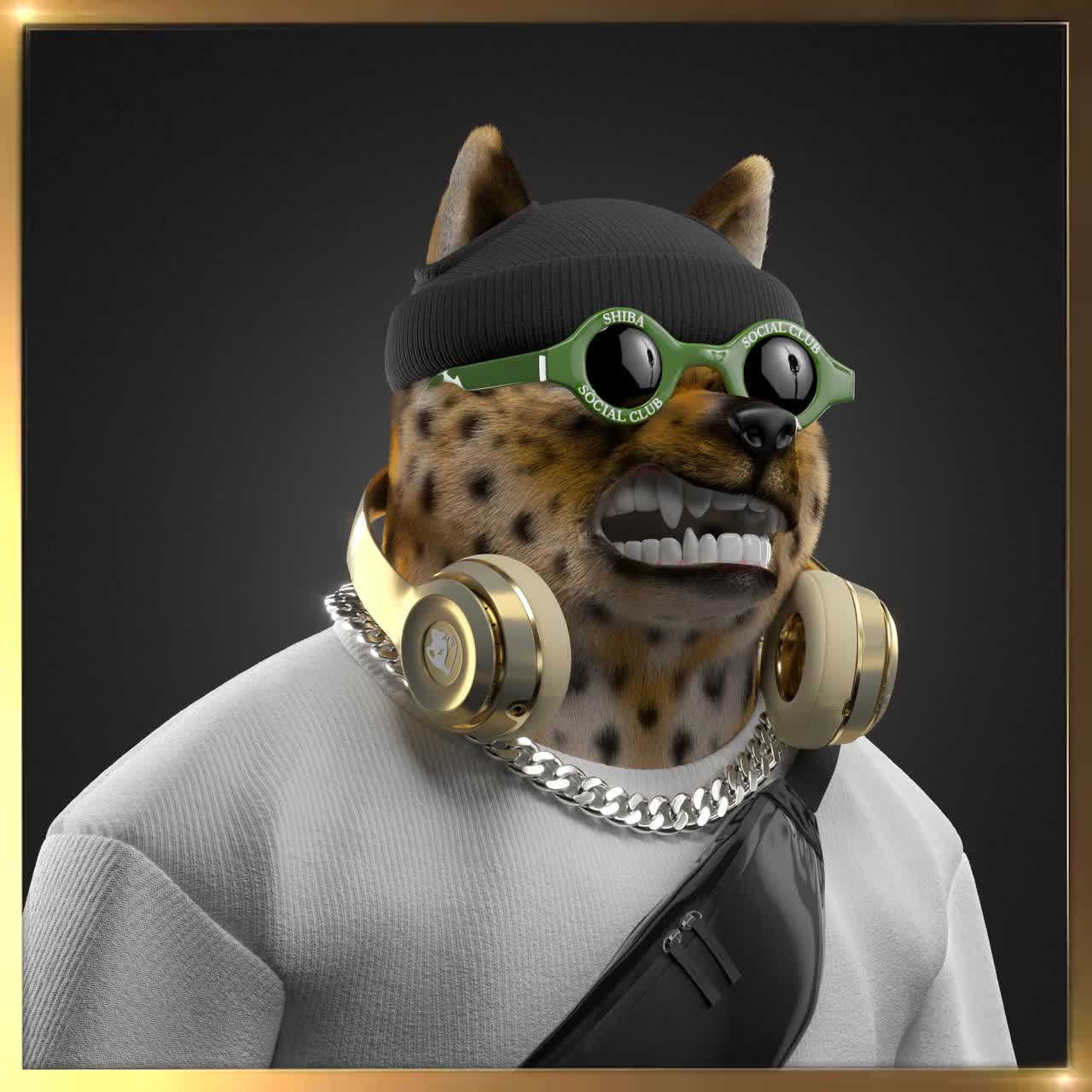 Shiba #2652