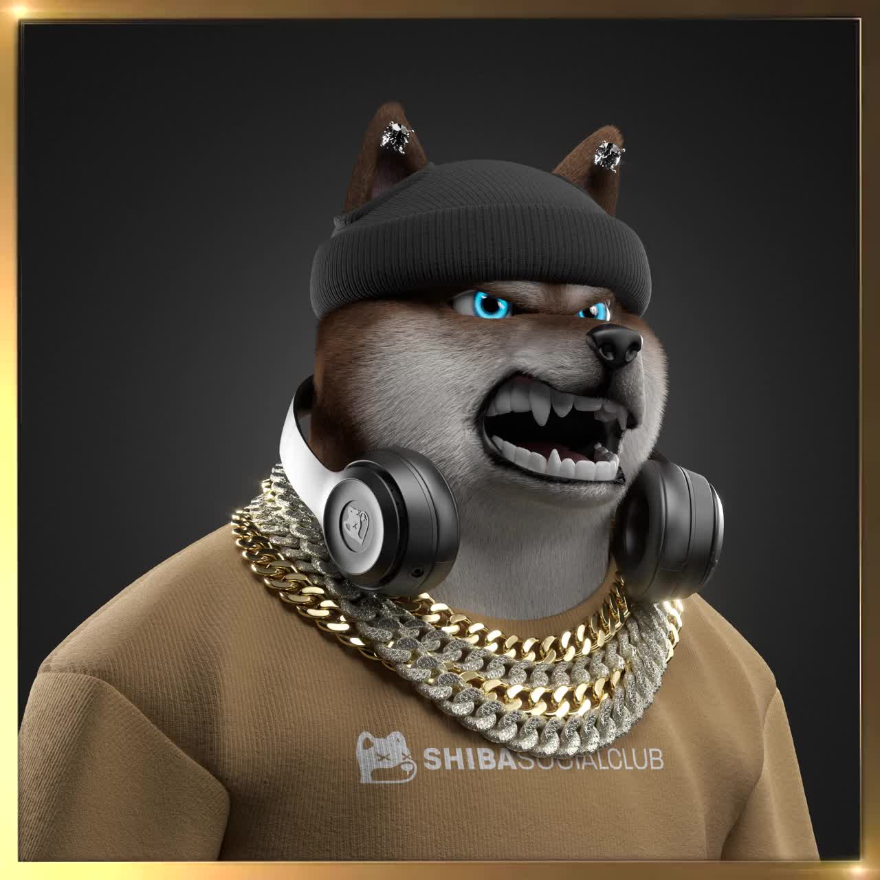 Shiba #2686