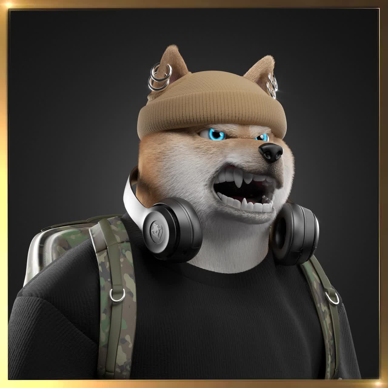 Shiba #2692