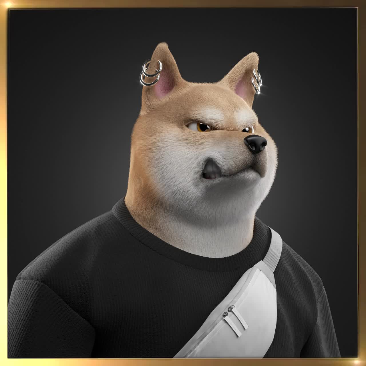 Shiba #2707