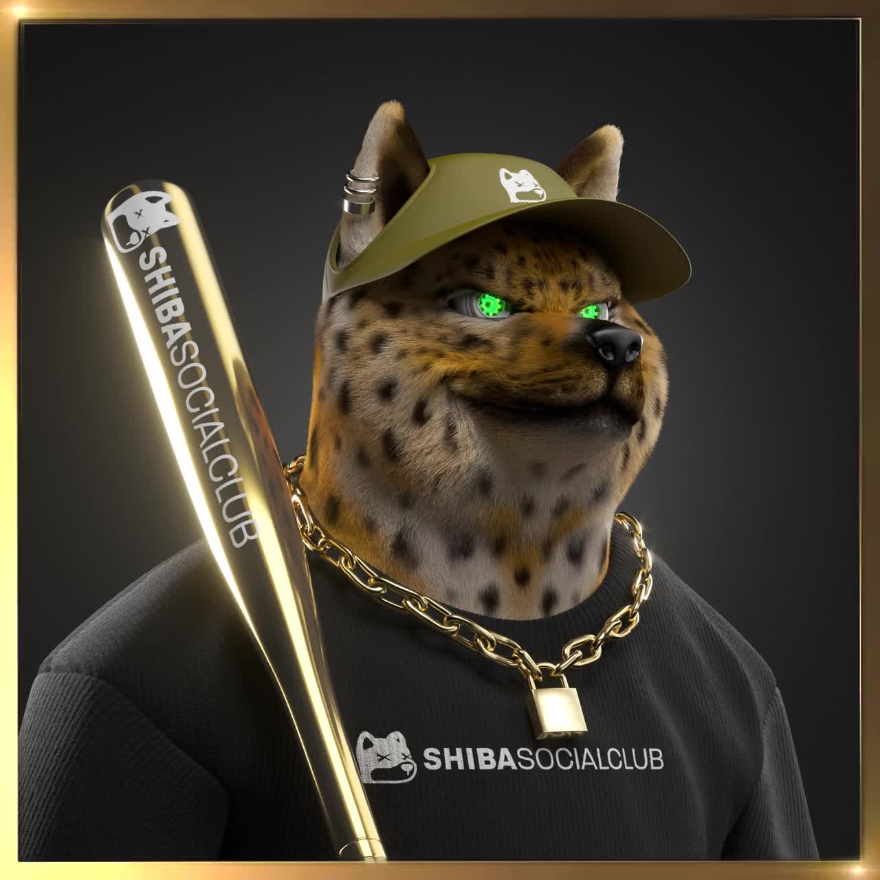Shiba #2717
