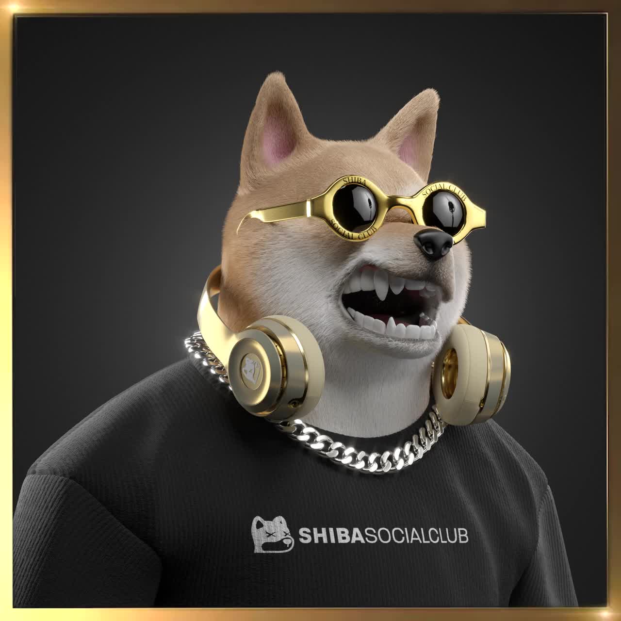 Shiba #2842