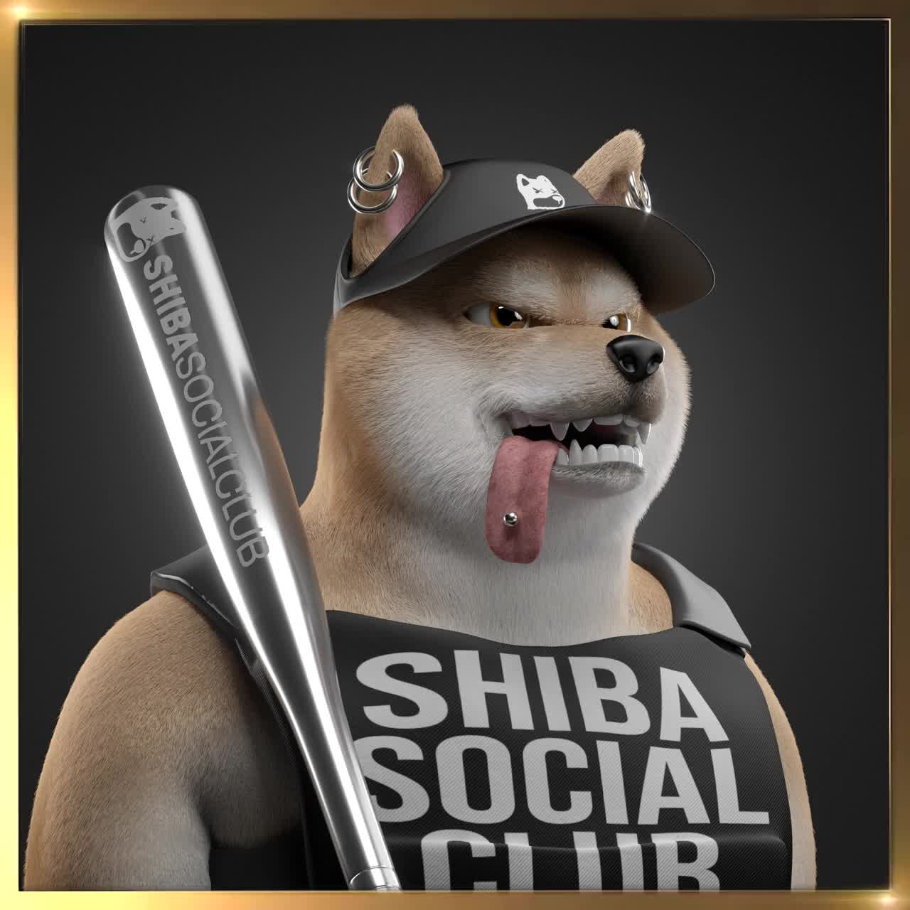 Shiba #2854