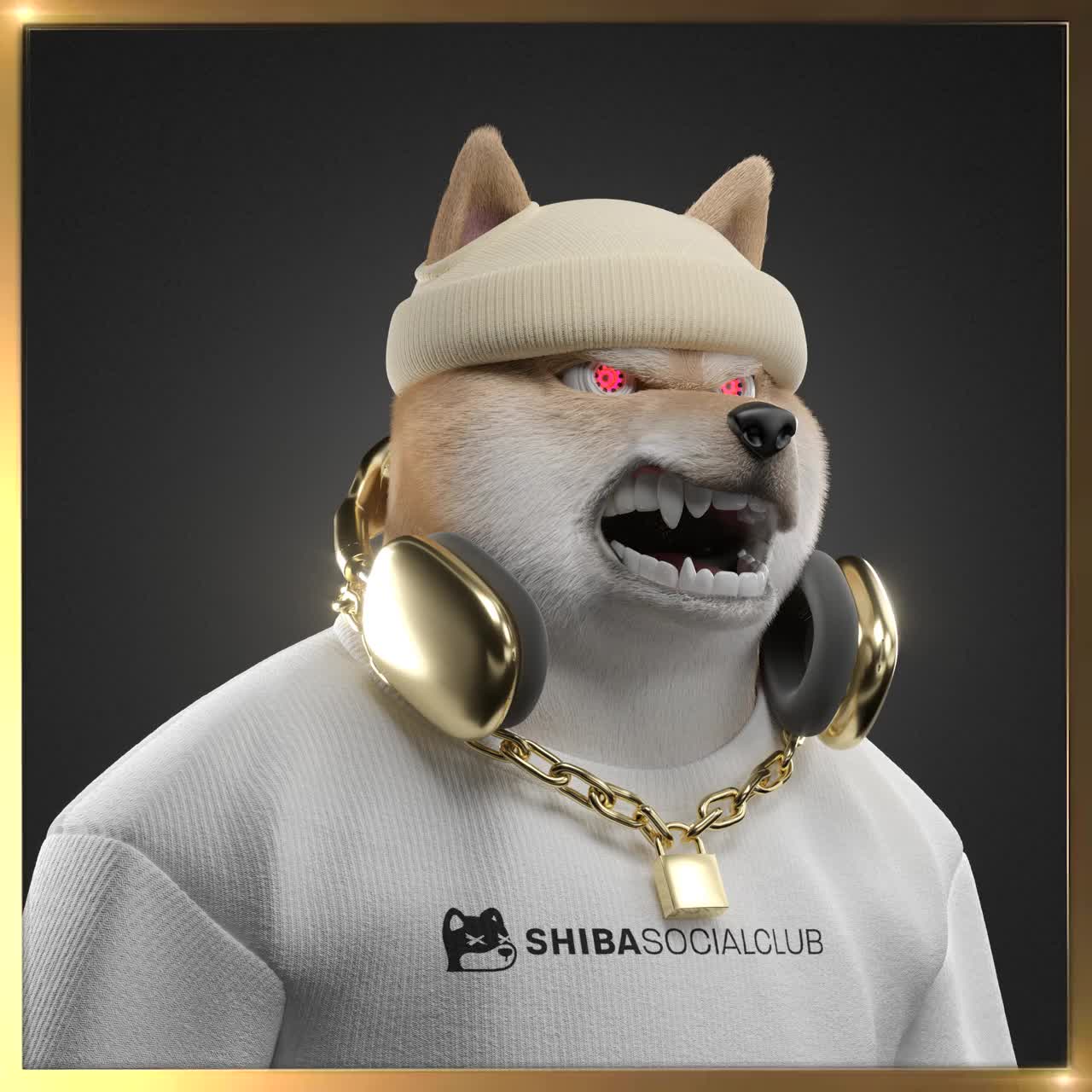 Shiba #2880