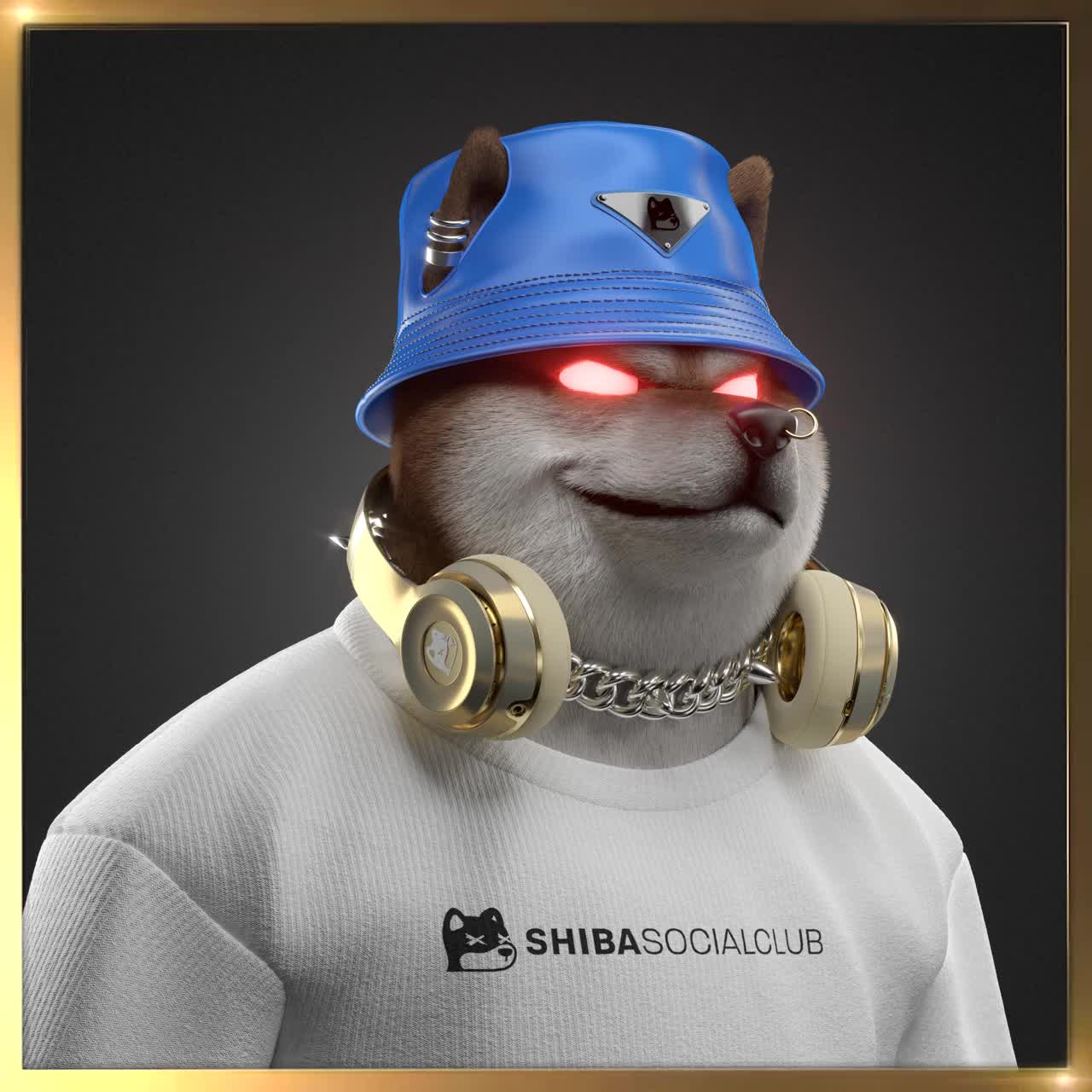 Shiba #2884