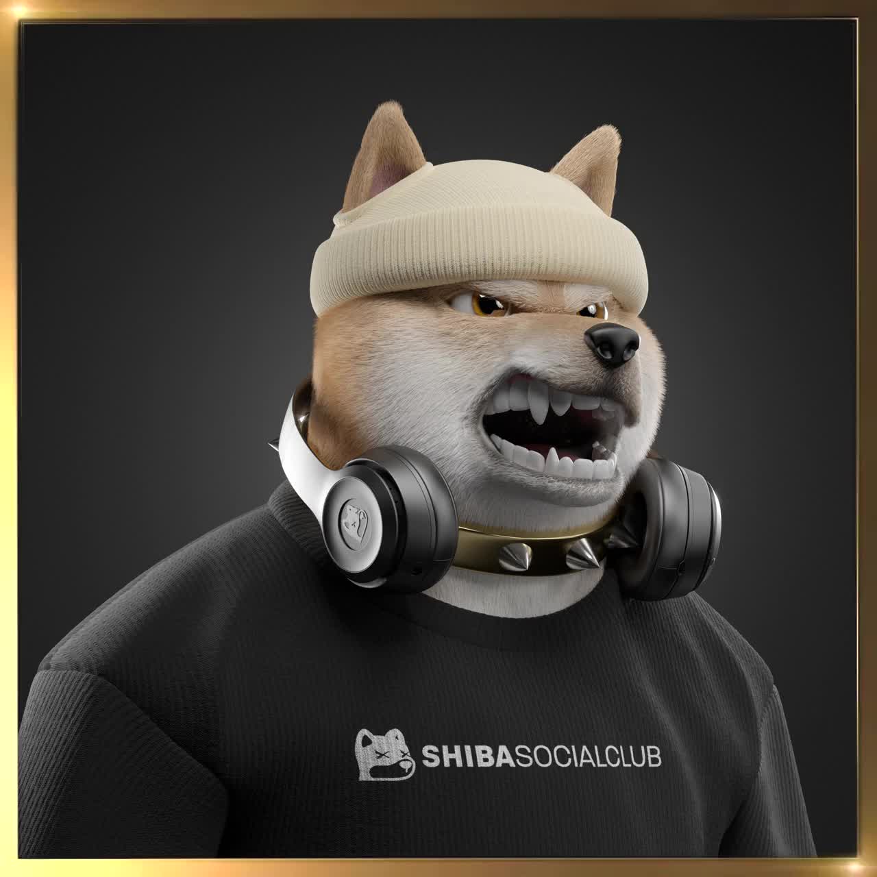 Shiba #2885