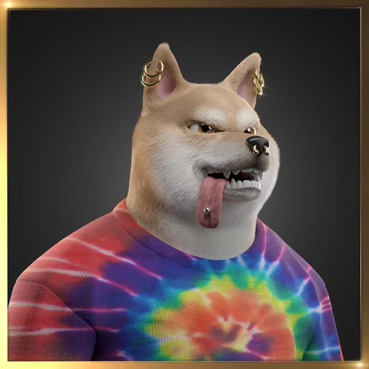 Shiba #2893