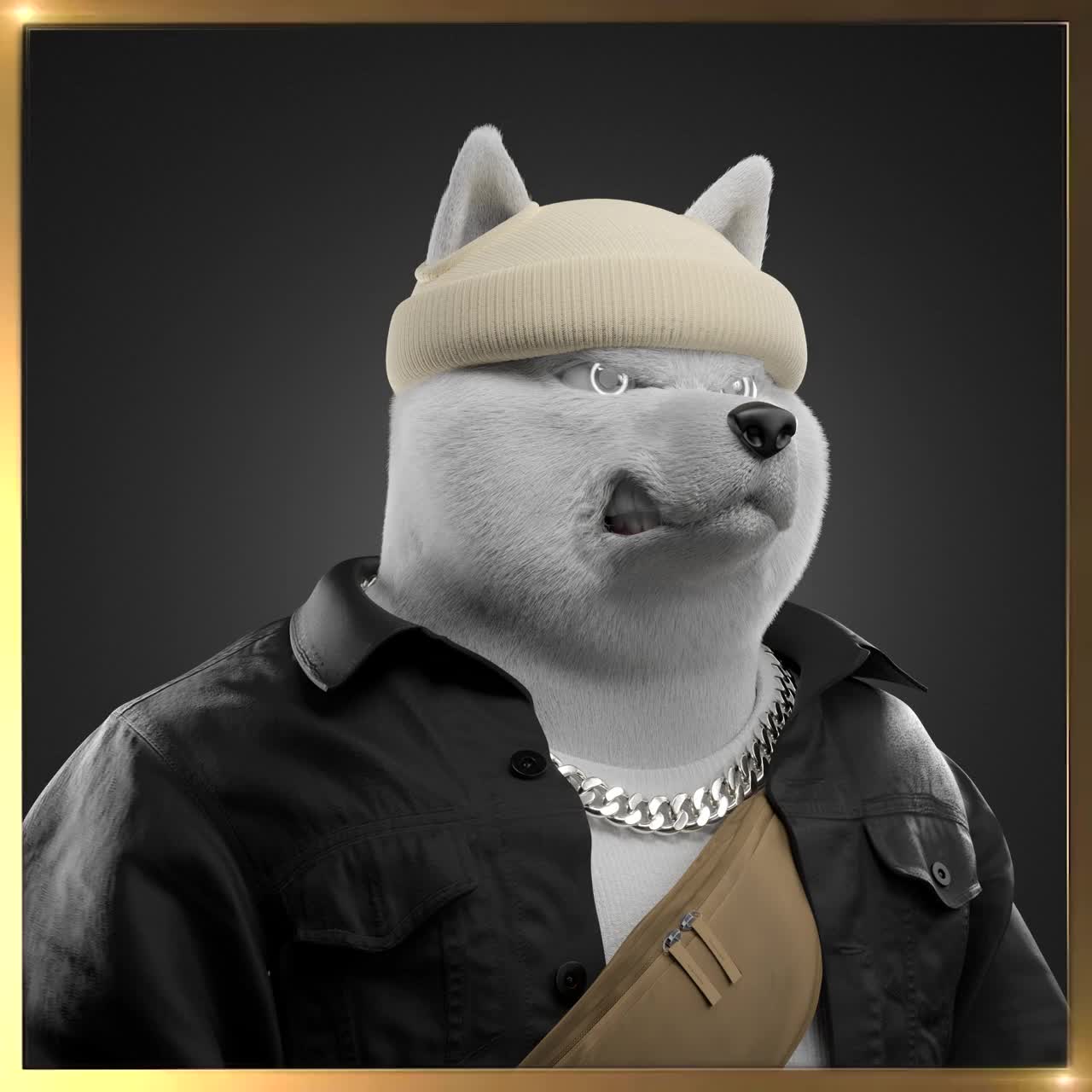 Shiba #2922