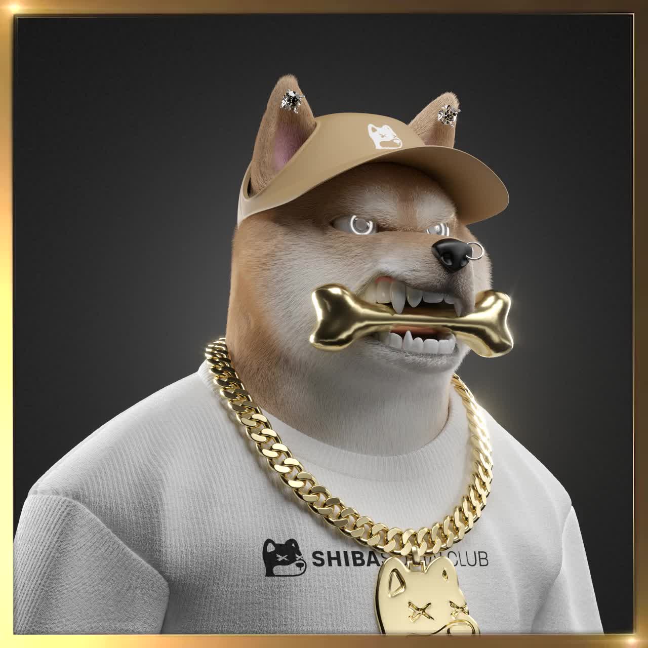 Shiba #2934