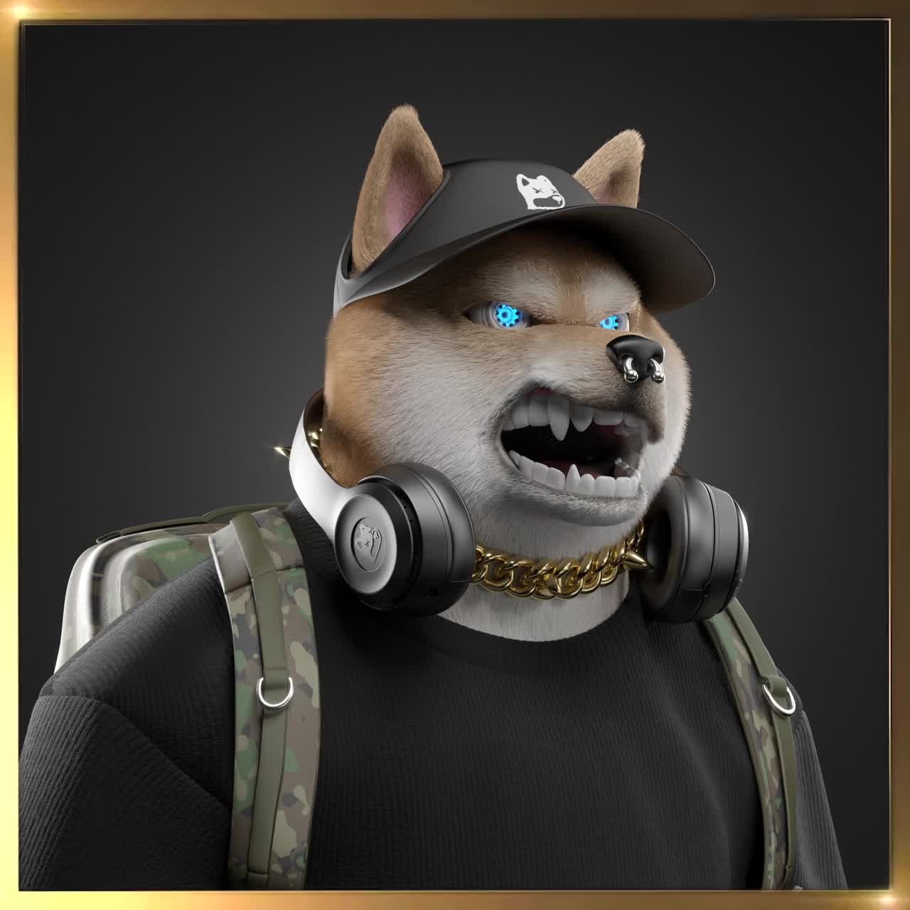 Shiba #2937