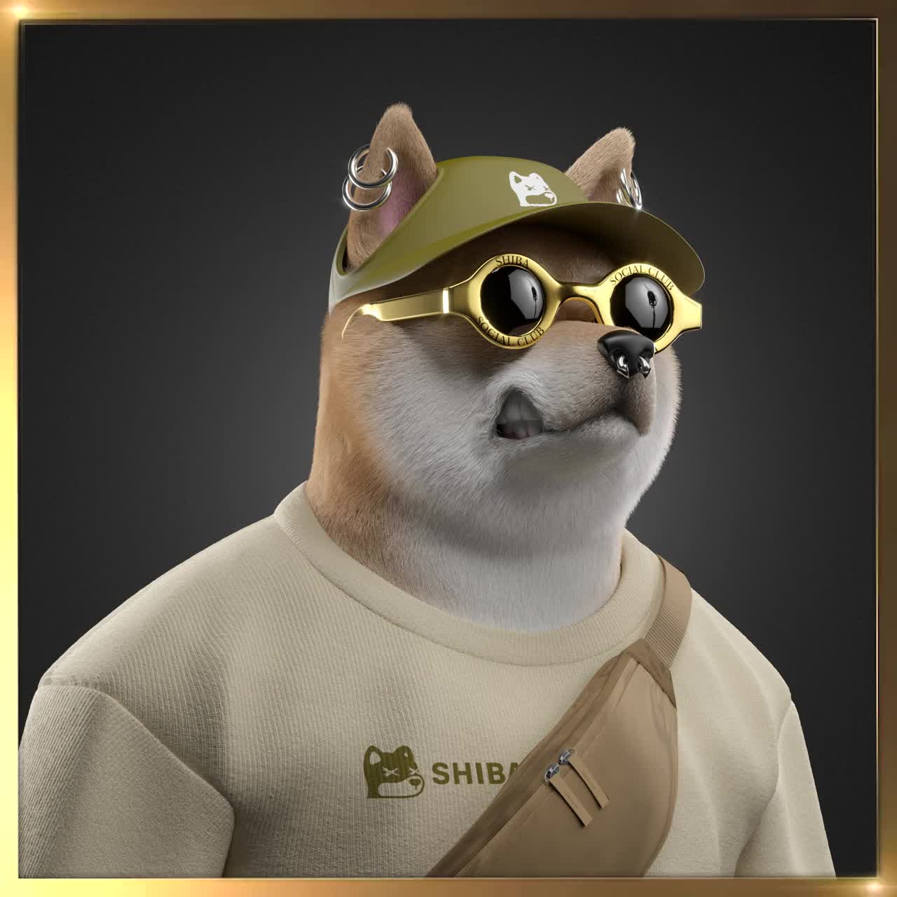 Shiba #3035