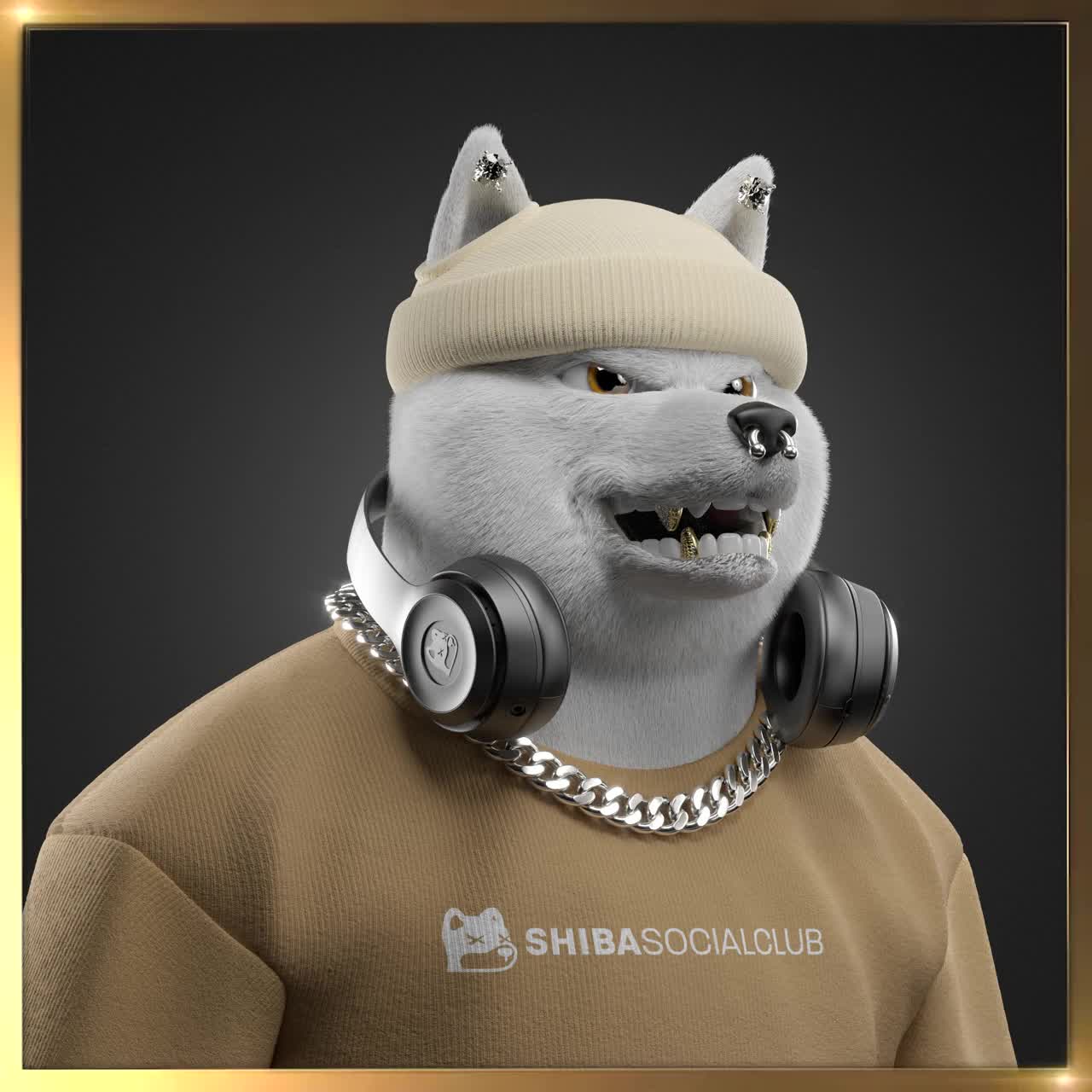 Shiba #3169