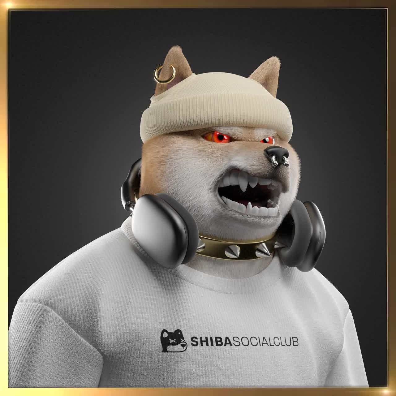 Shiba #3282