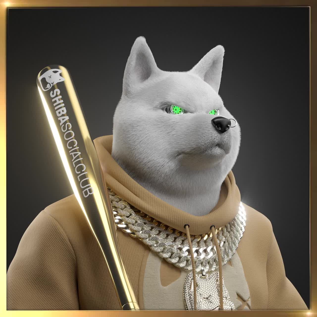 Shiba #3318