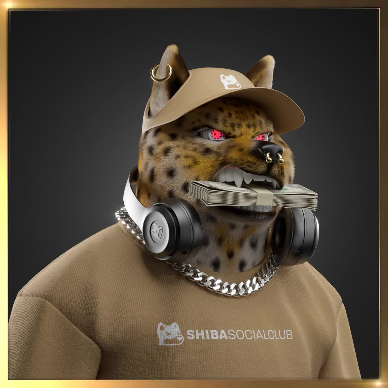 Shiba #3342