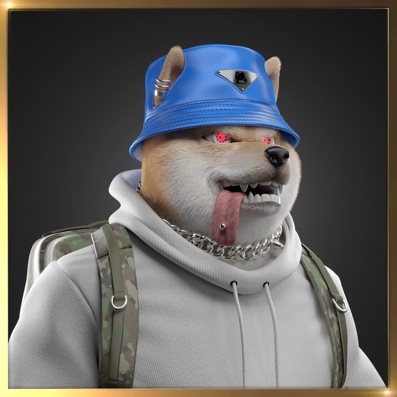 Shiba #3359