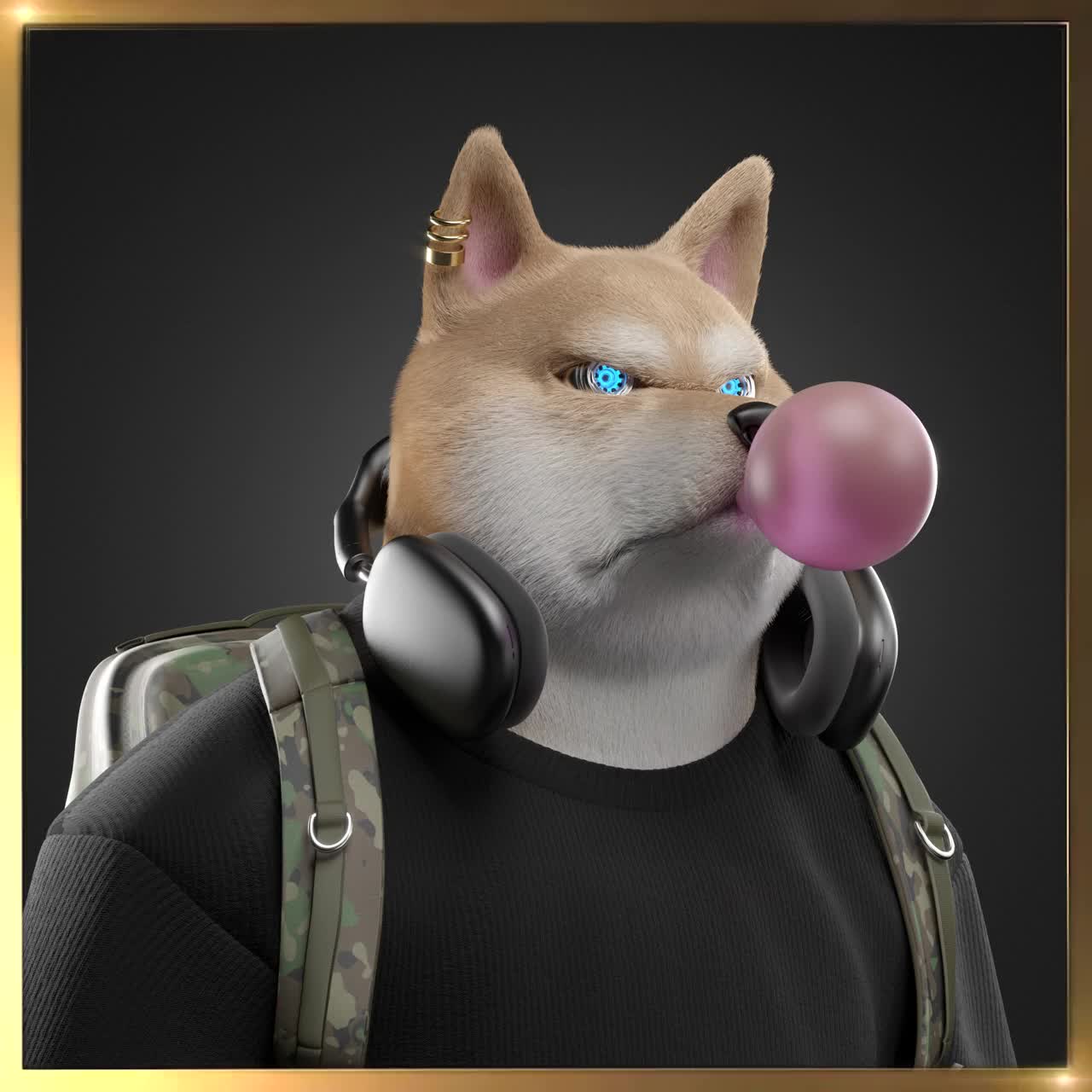 Shiba #3372