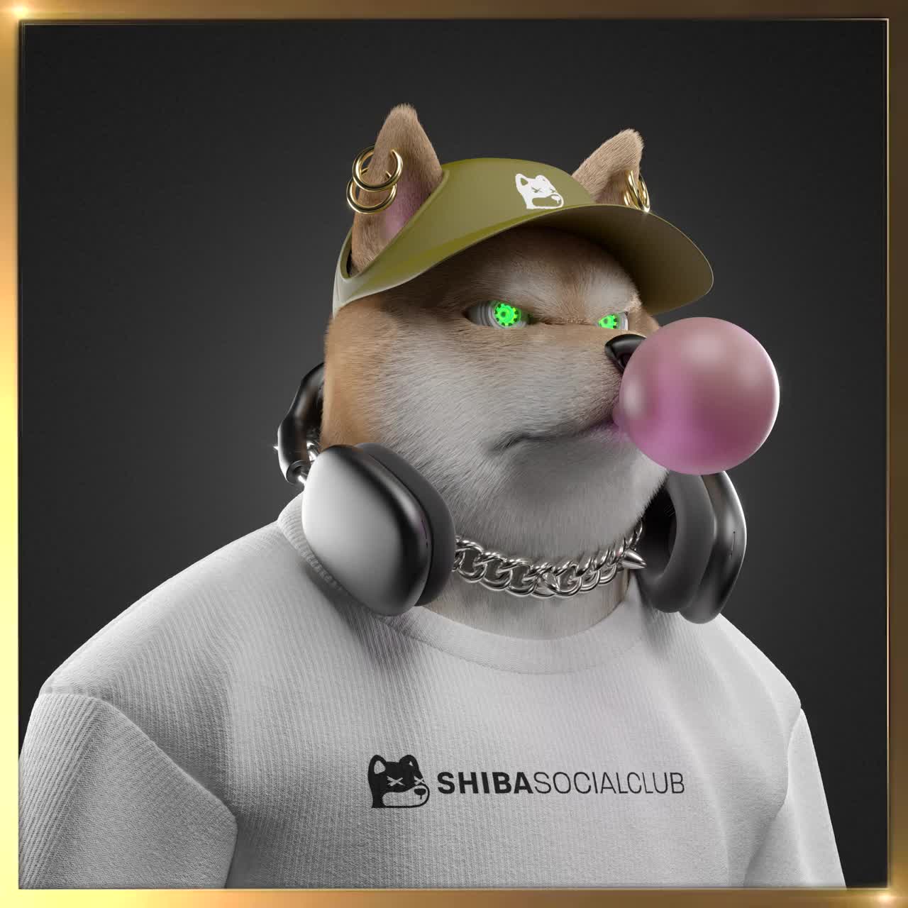 Shiba #3422