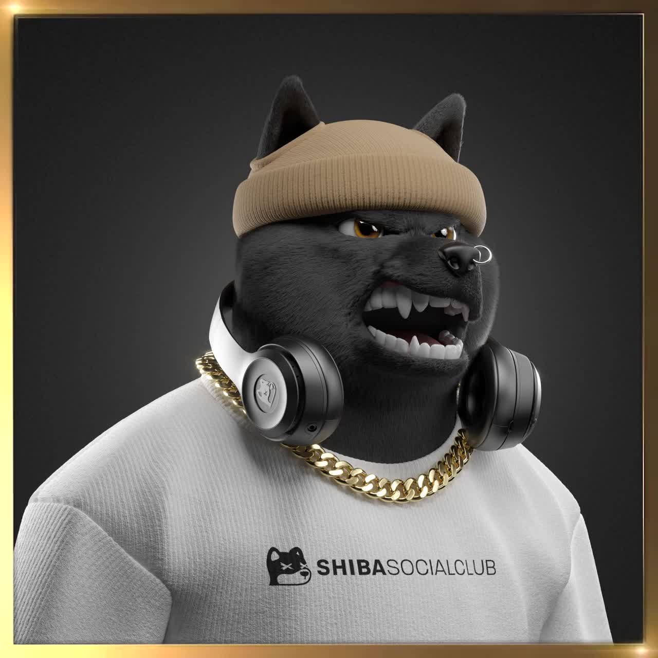 Shiba #3487