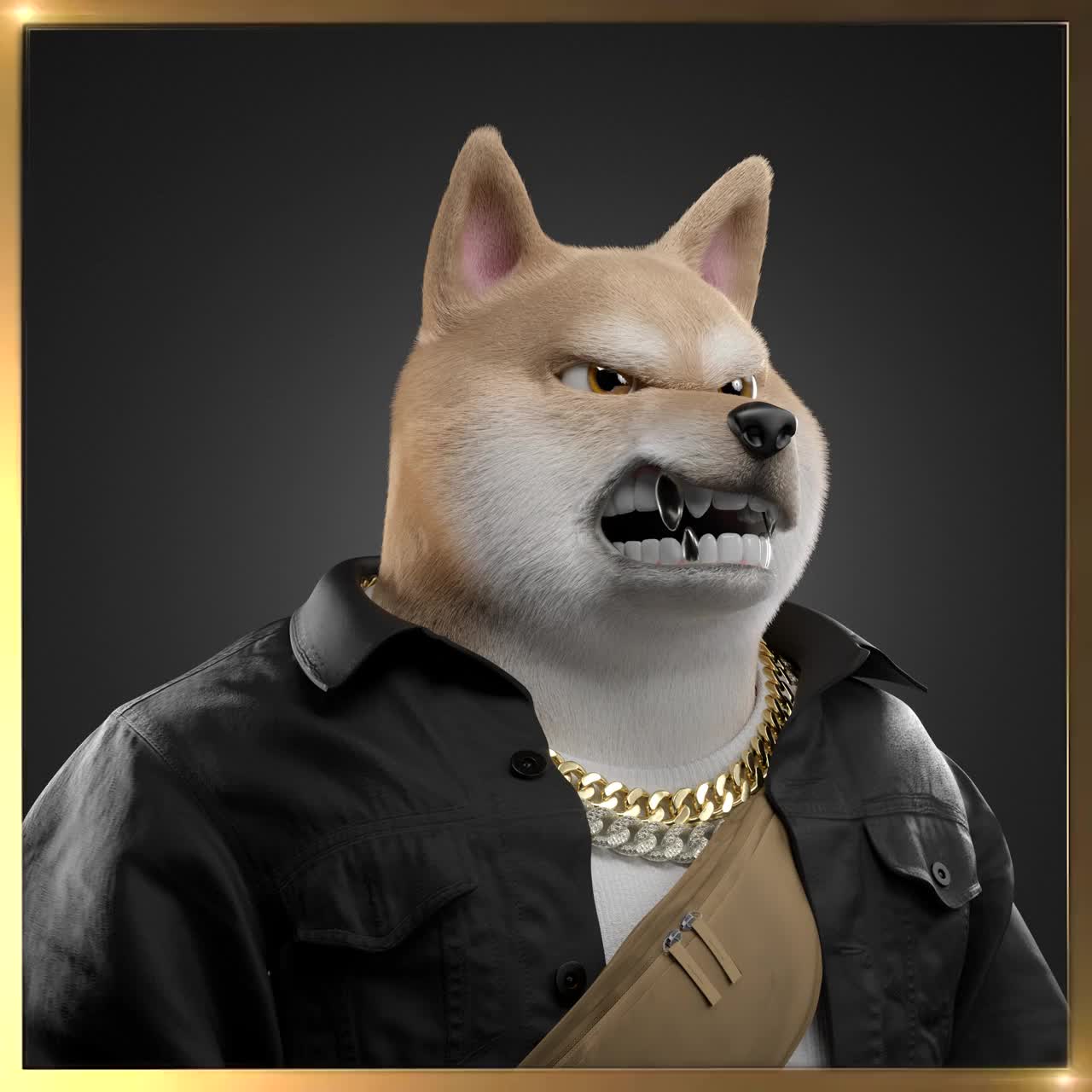 Shiba #3500