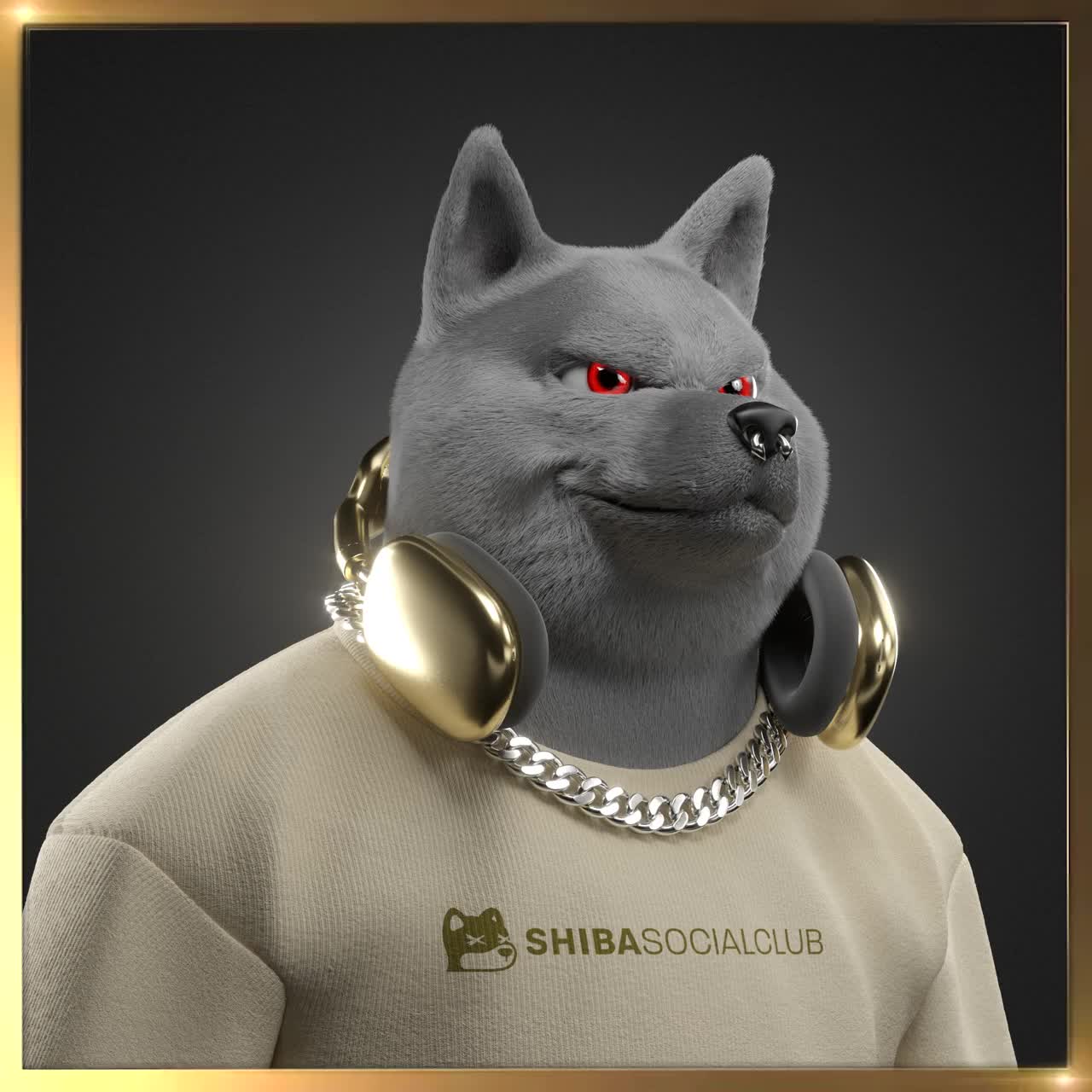 Shiba #3513