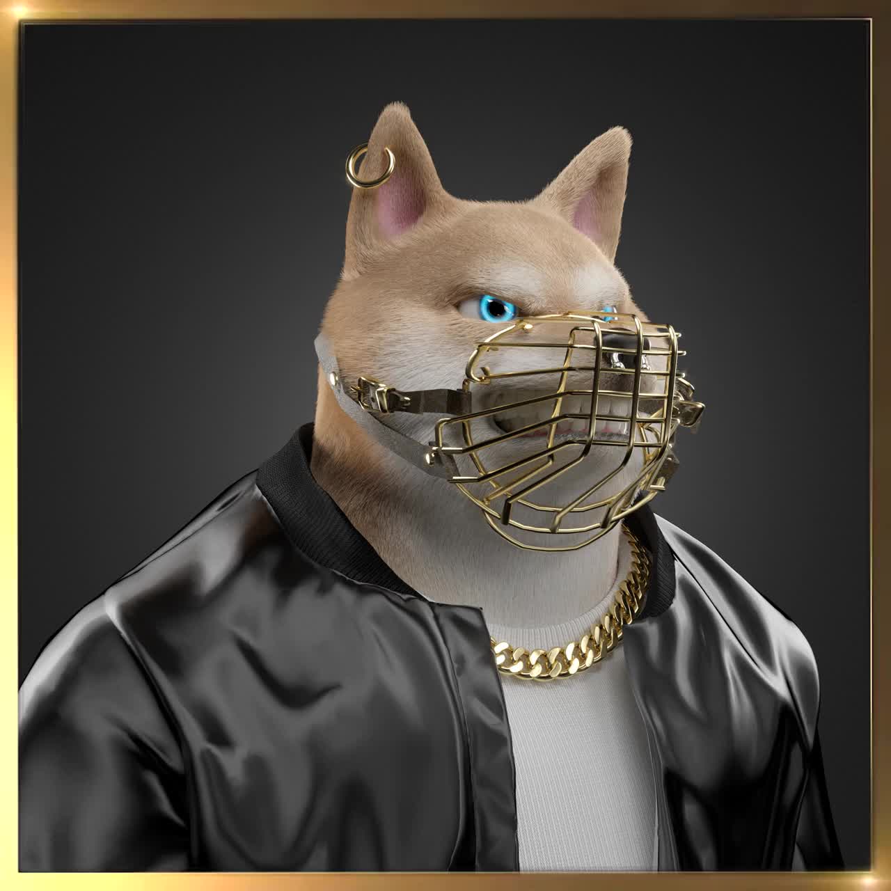 Shiba #3539