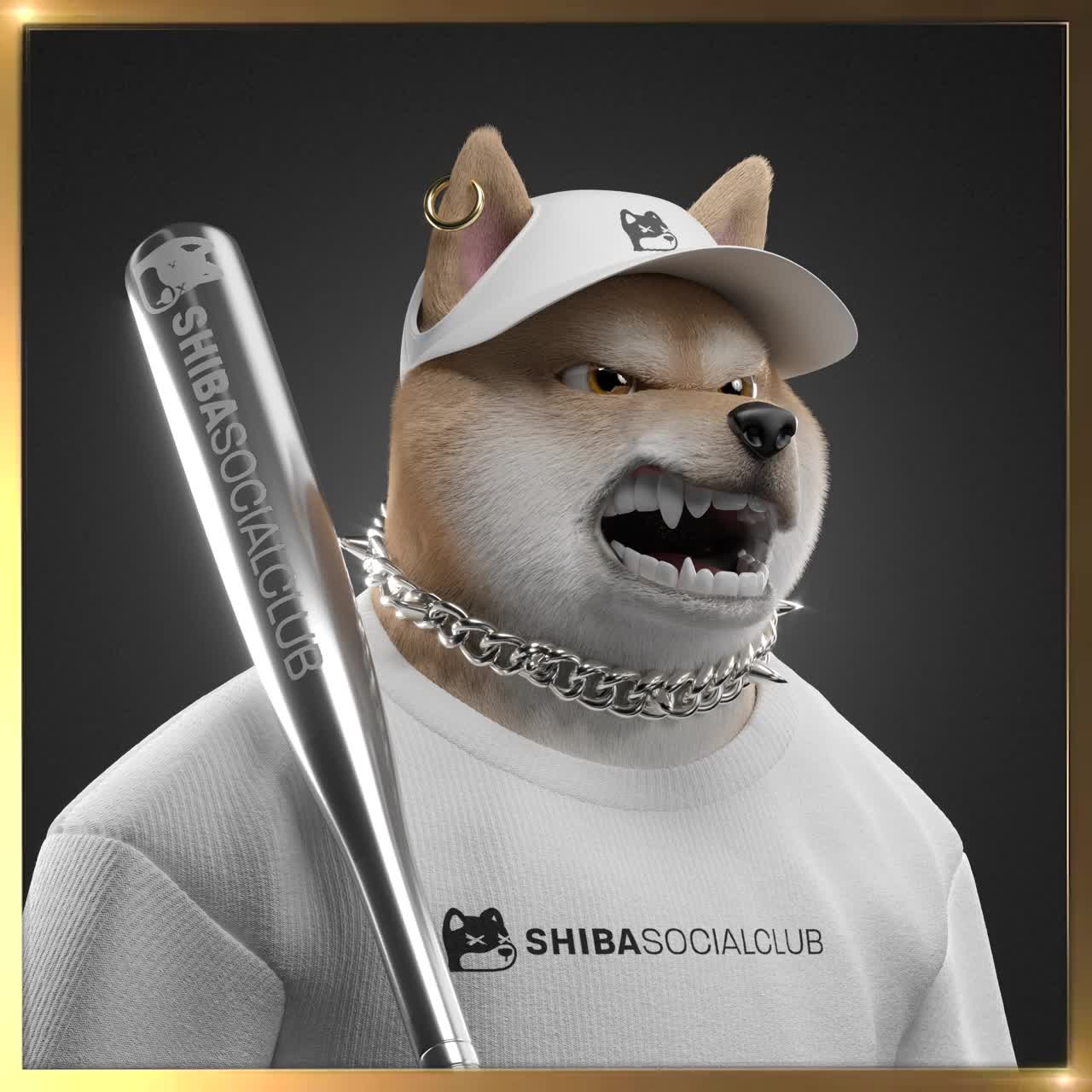 Shiba #3550