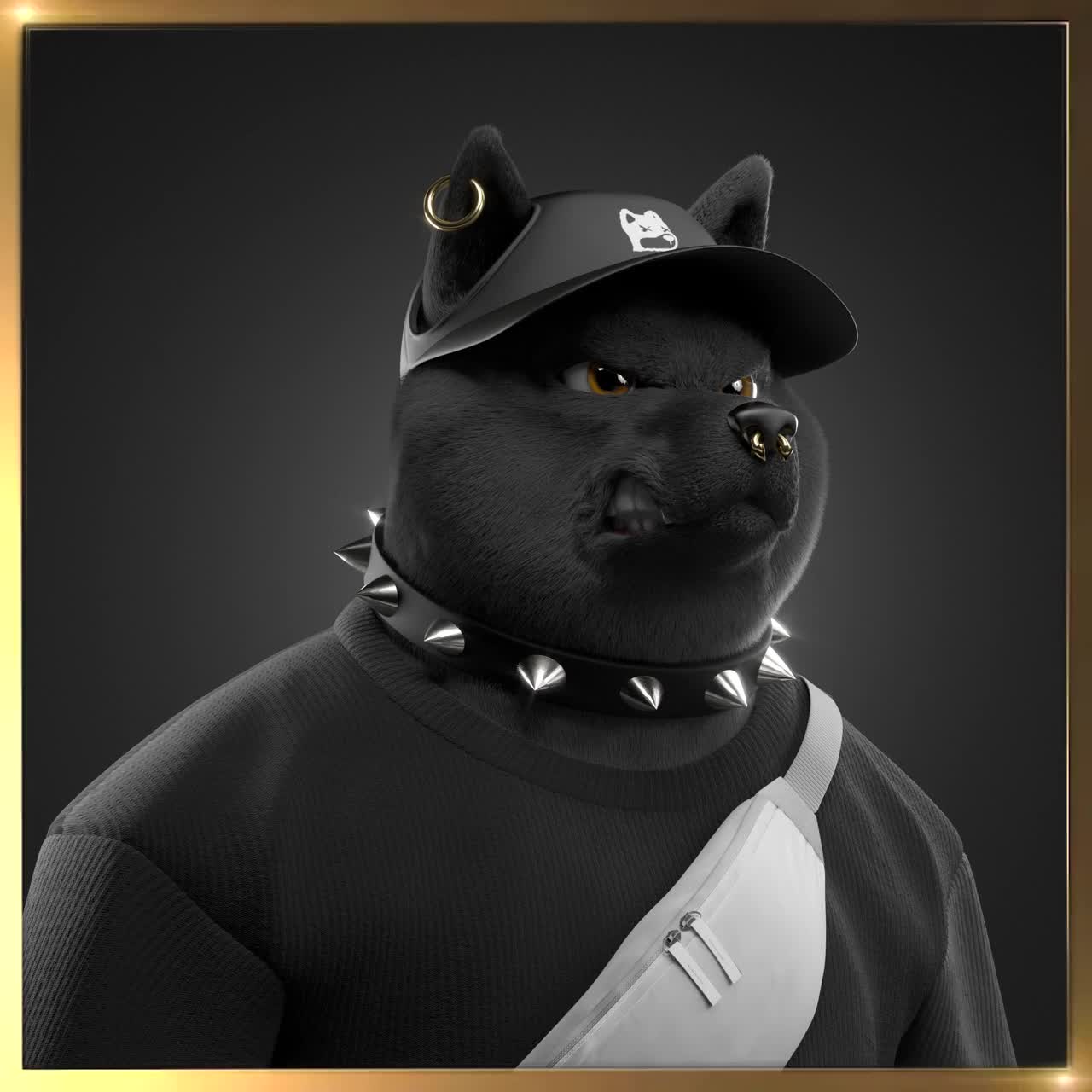 Shiba #3565