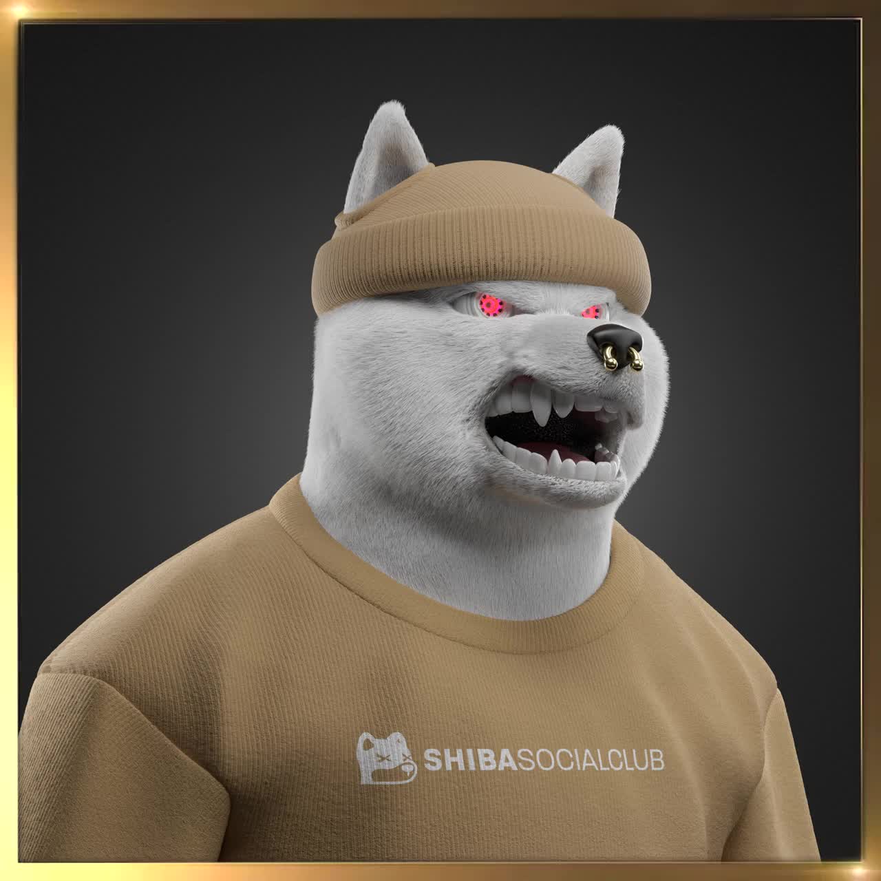 Shiba #3582