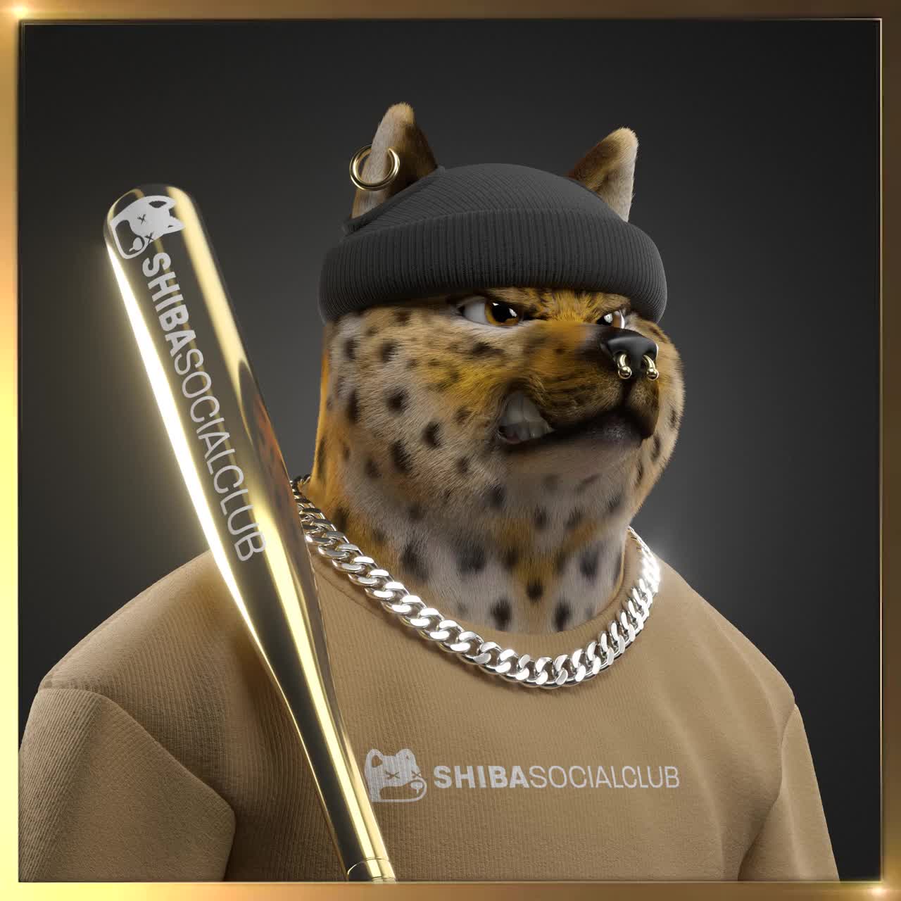 Shiba #3639