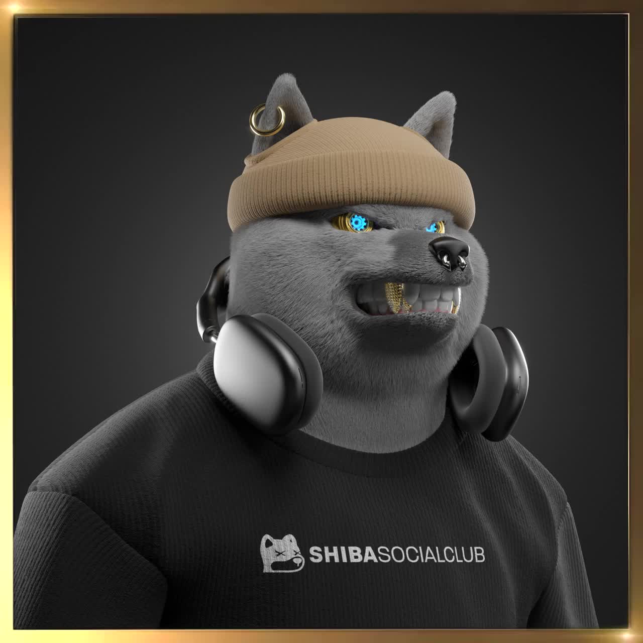 Shiba #3719