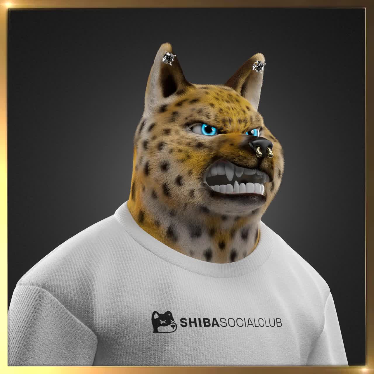 Shiba #3738