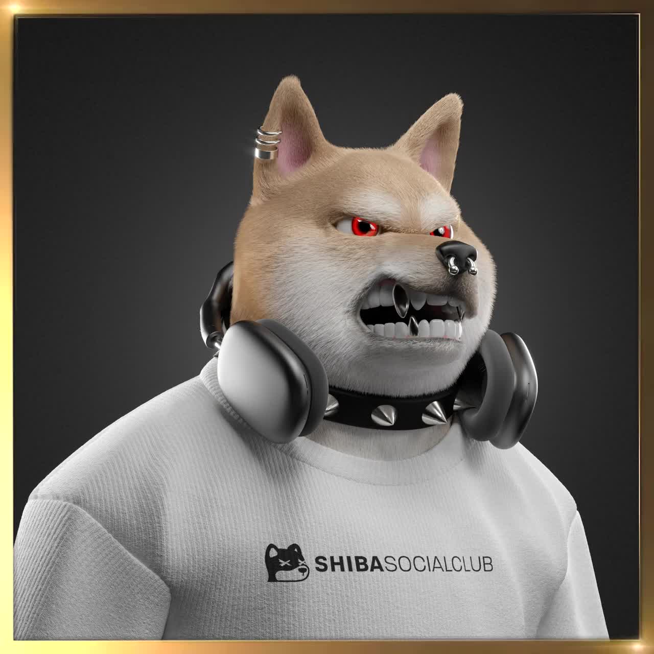 Shiba #3749