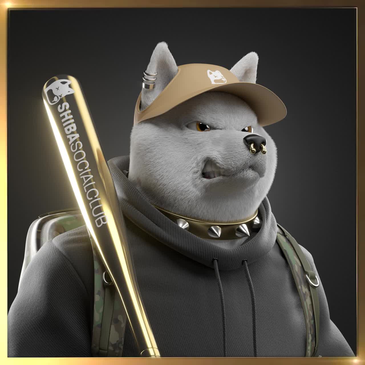 Shiba #3775