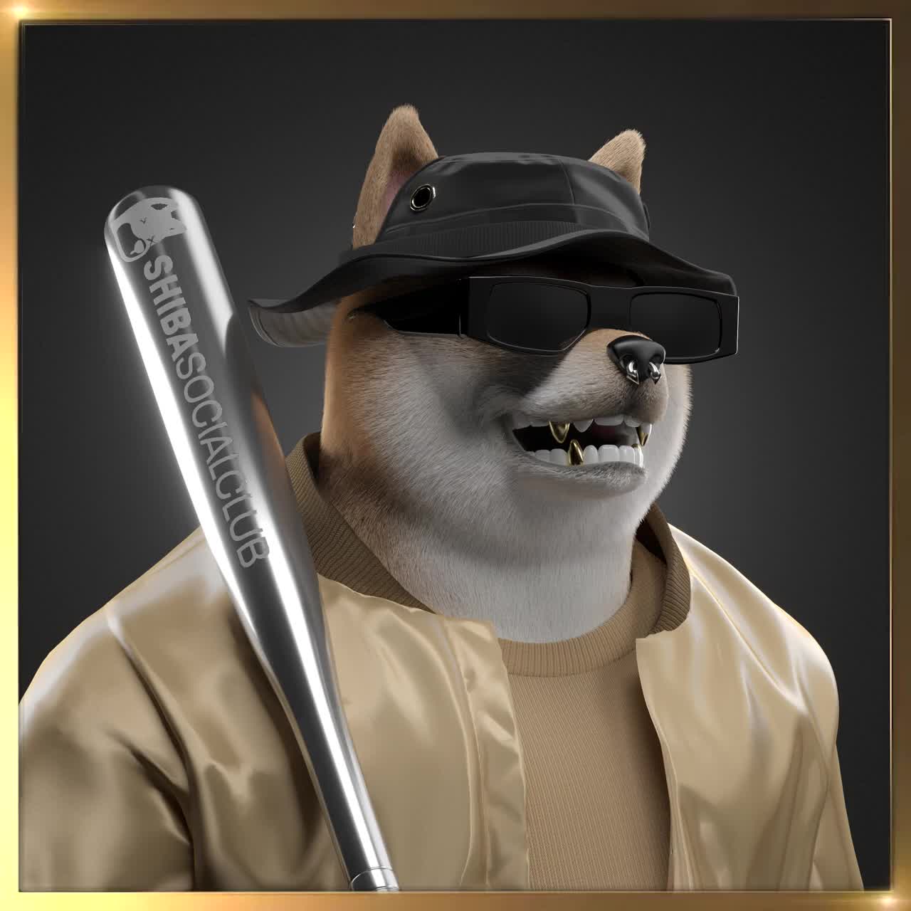 Shiba #3779