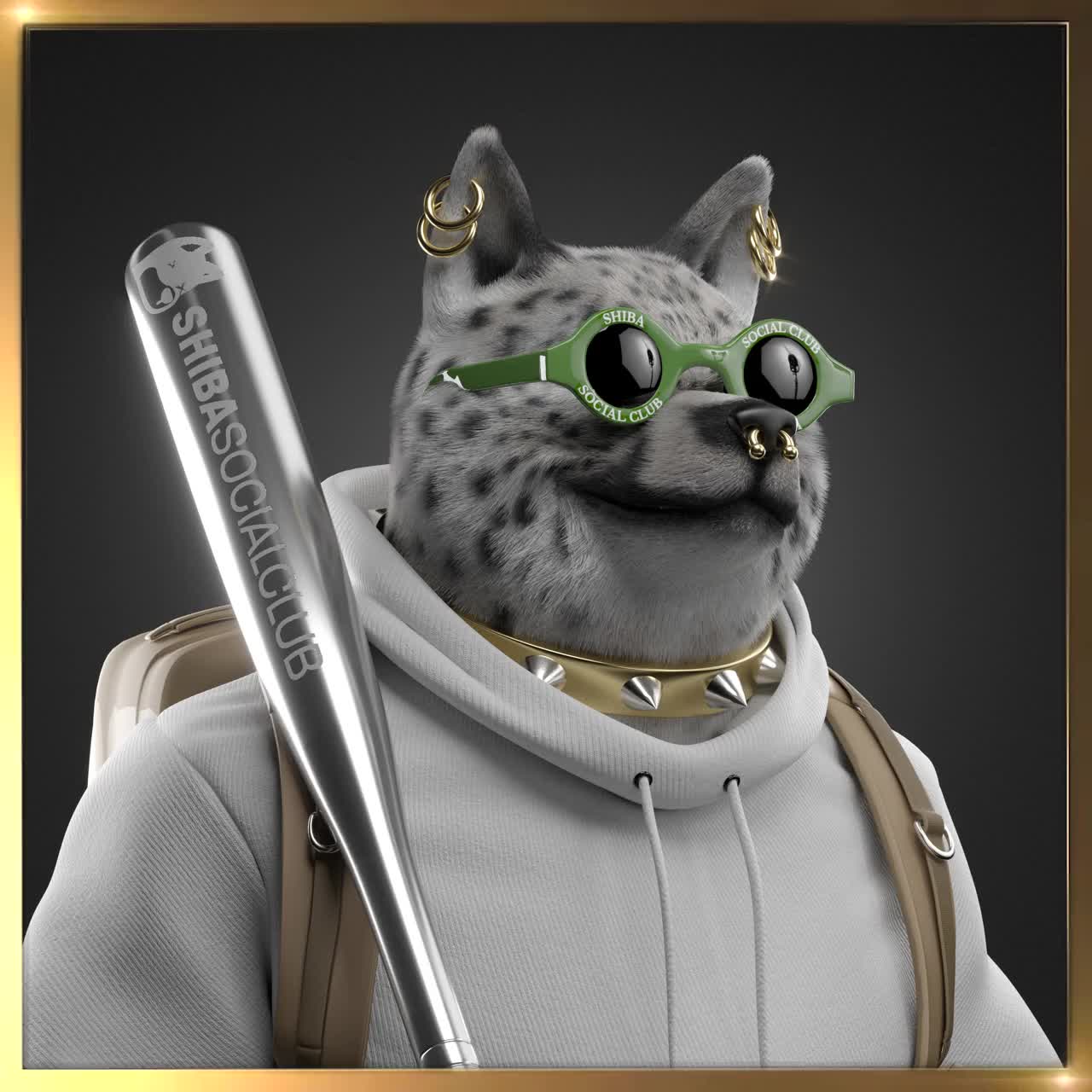 Shiba #3792