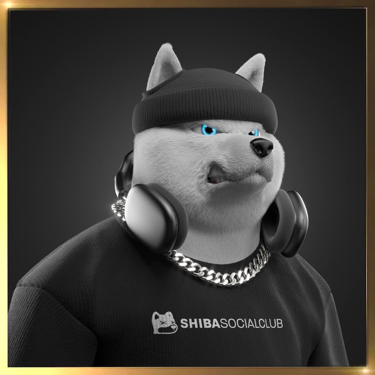 Shiba #3819