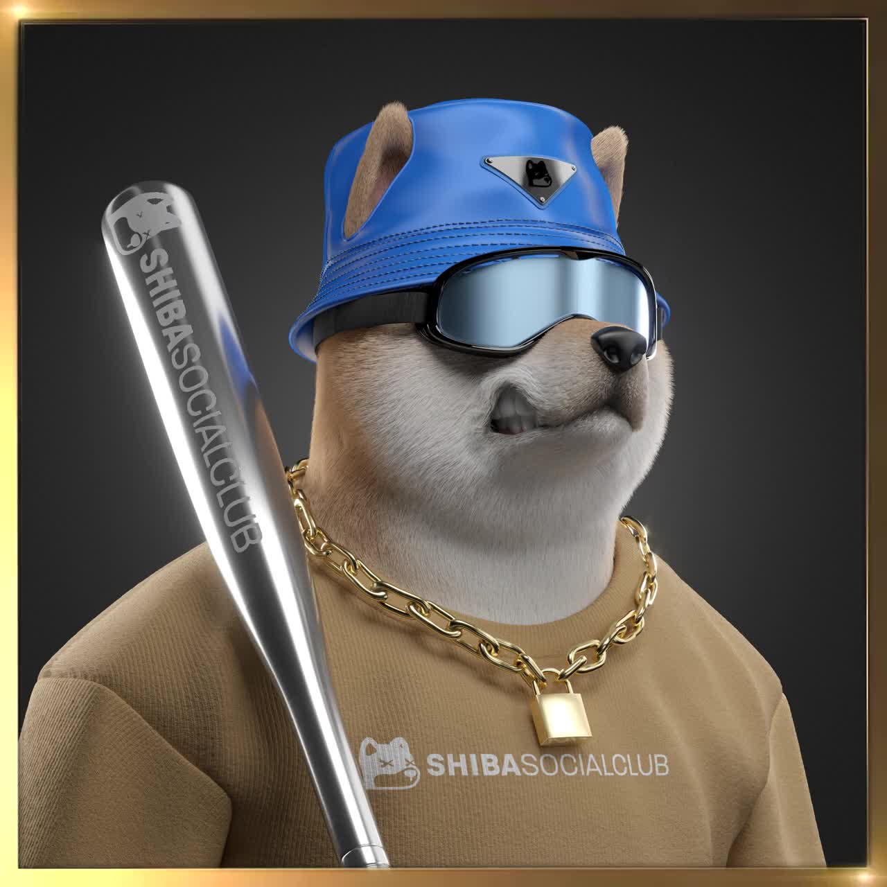 Shiba #3825