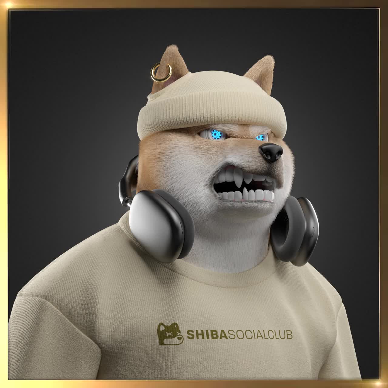 Shiba #3869