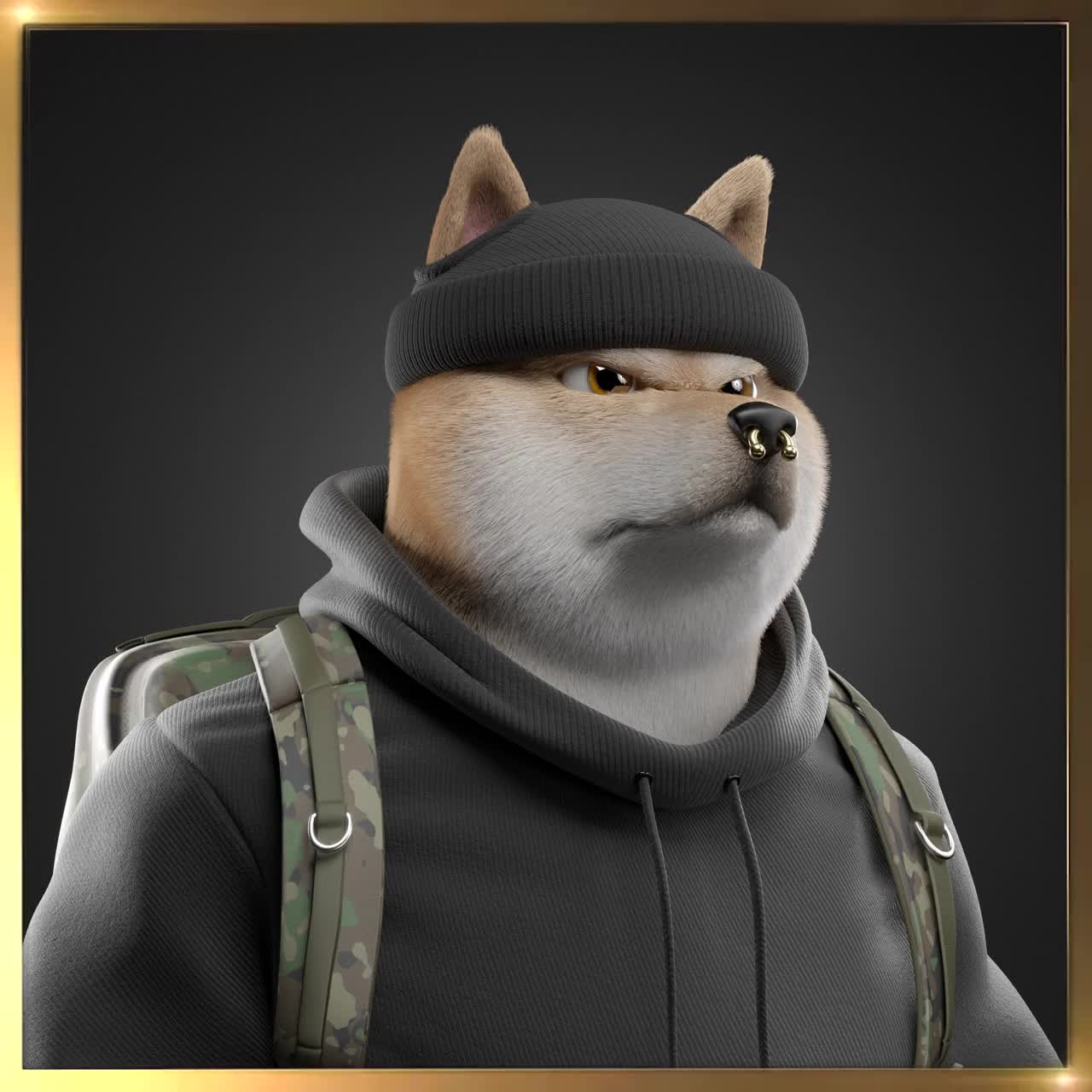 Shiba #3885
