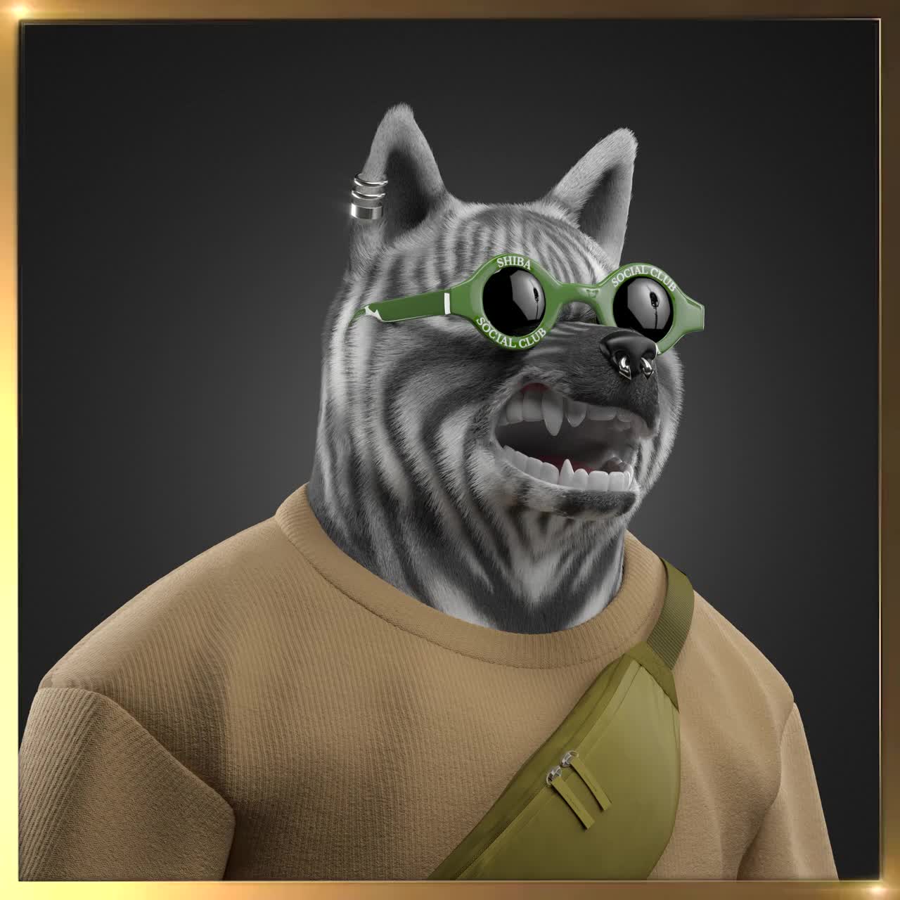 Shiba #3923