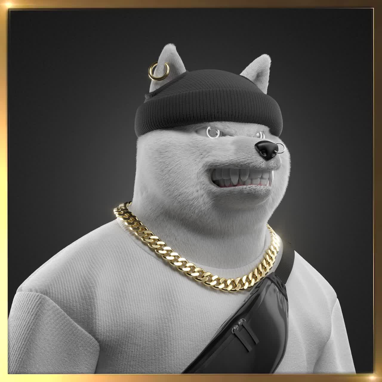 Shiba #3927