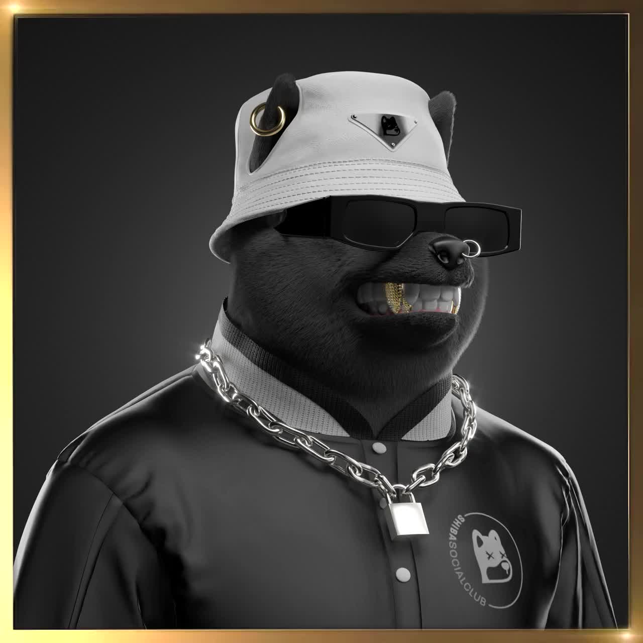 Shiba #3934