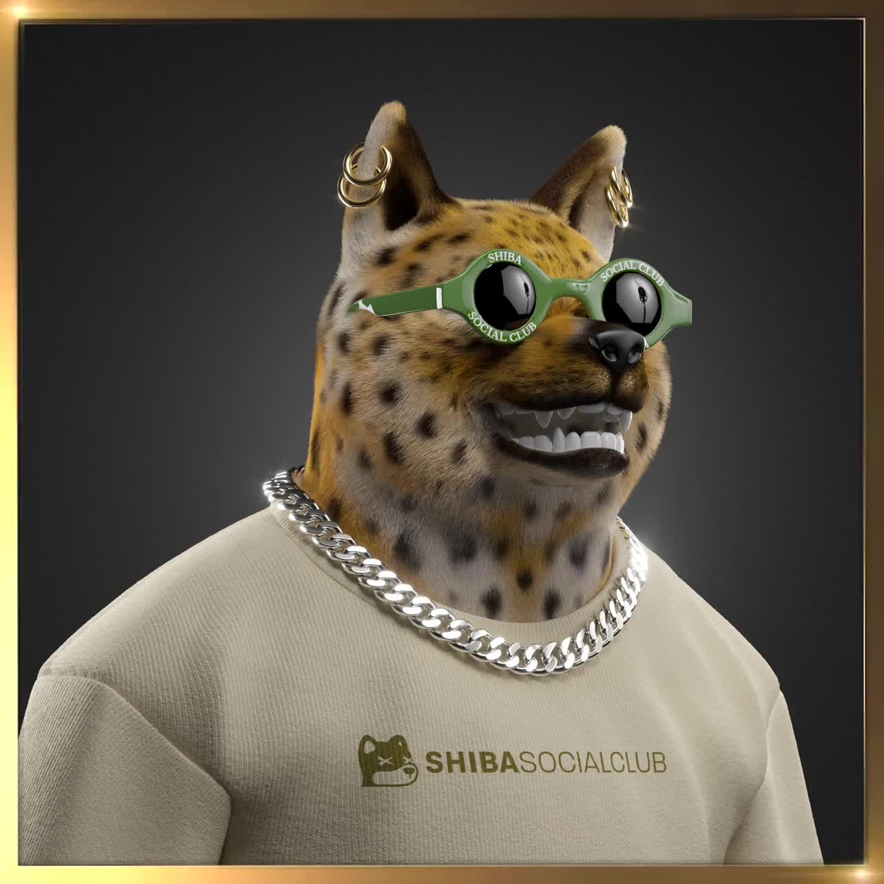 Shiba #3939